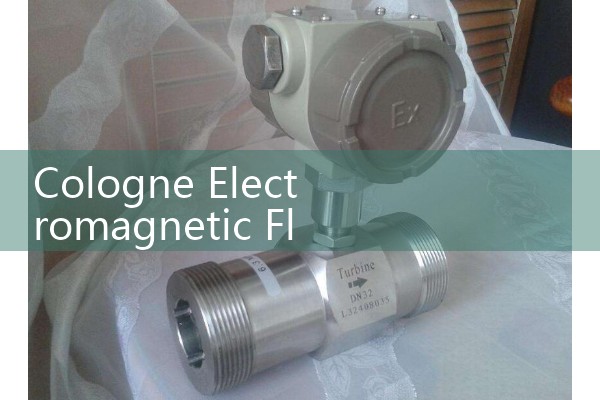 Cologne electromagnetic flowmeter from Germany